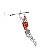 swing 360