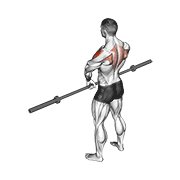 barbell upright row v. 3
