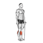 band two legs calf raise - (band under both legs) v. 2