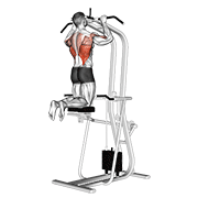 assisted pull-up
