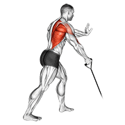 band one arm standing low row