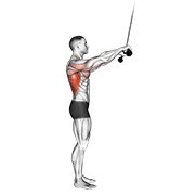 cable pushdown (straight arm) v. 2